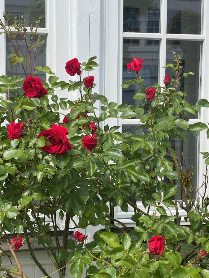 Villa Waldrose Остзебад Бинц Екстериор снимка